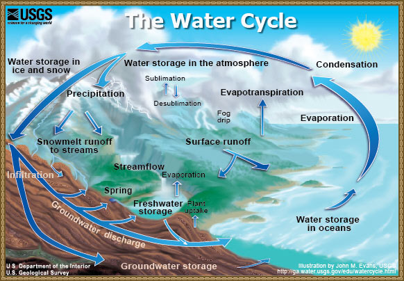 The Water Cycle Worksheets For Kids. Blank+water+cycle+diagram+